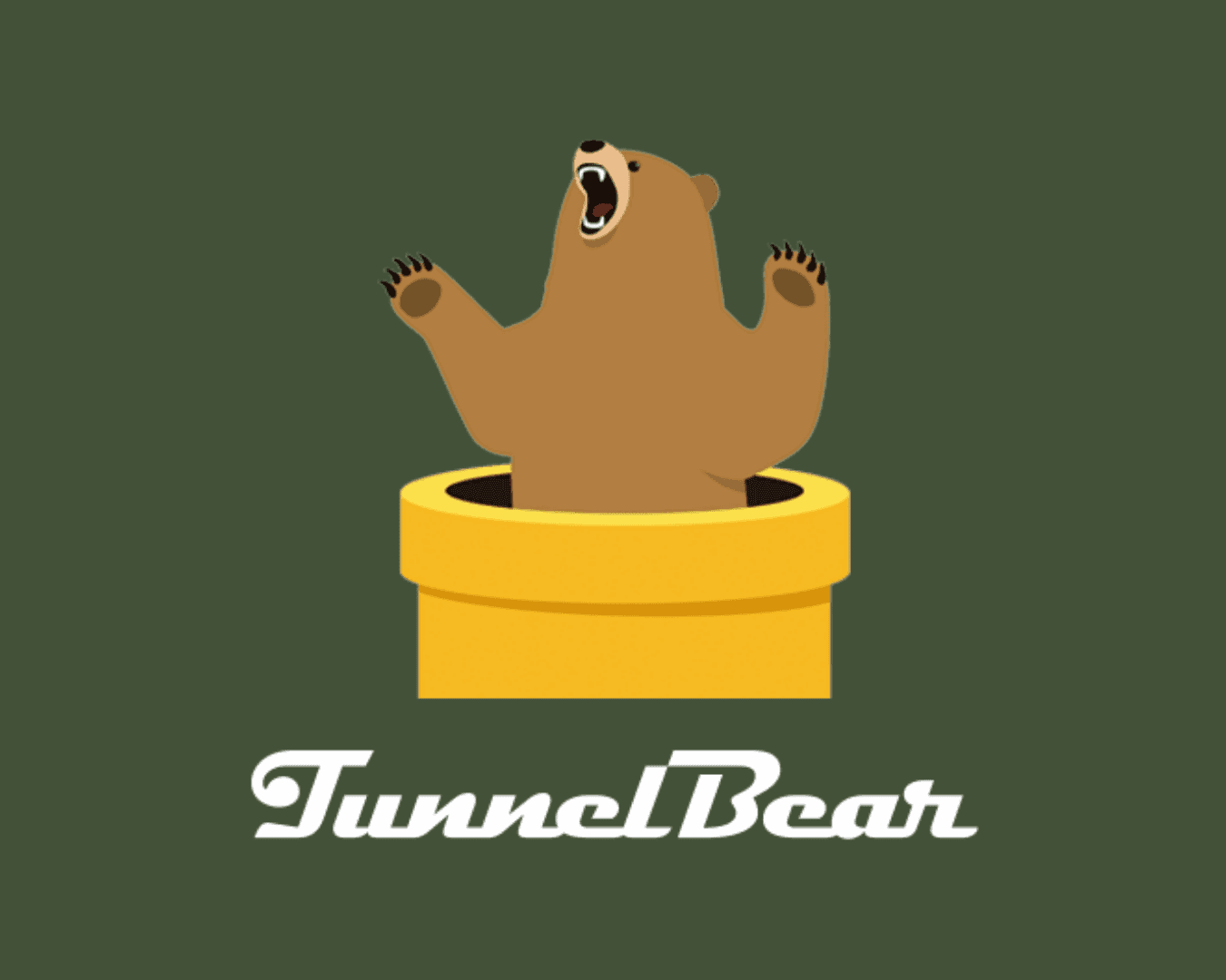 TunnelBear